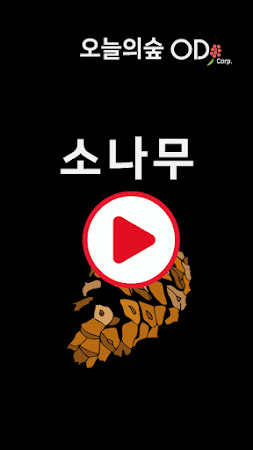 소나무 테스트