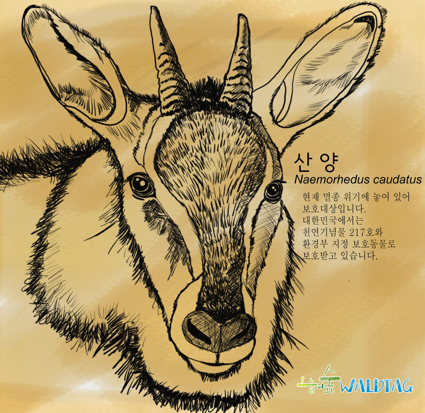 산양 천연기념물