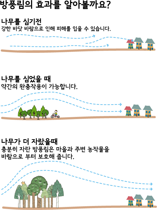 숲이 강한 바람을 막아요. 방풍림