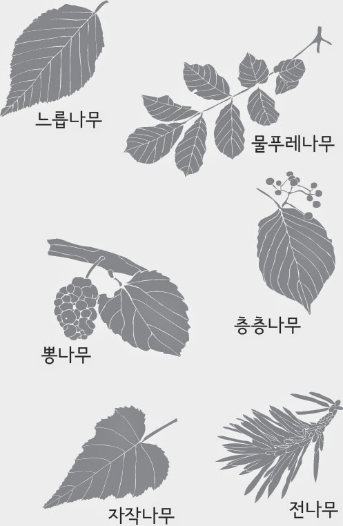 나무는 신, 숲은 신전