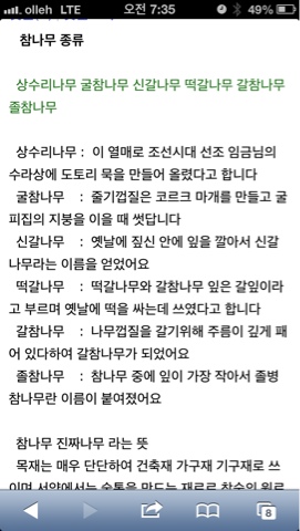 떡갈나무130504