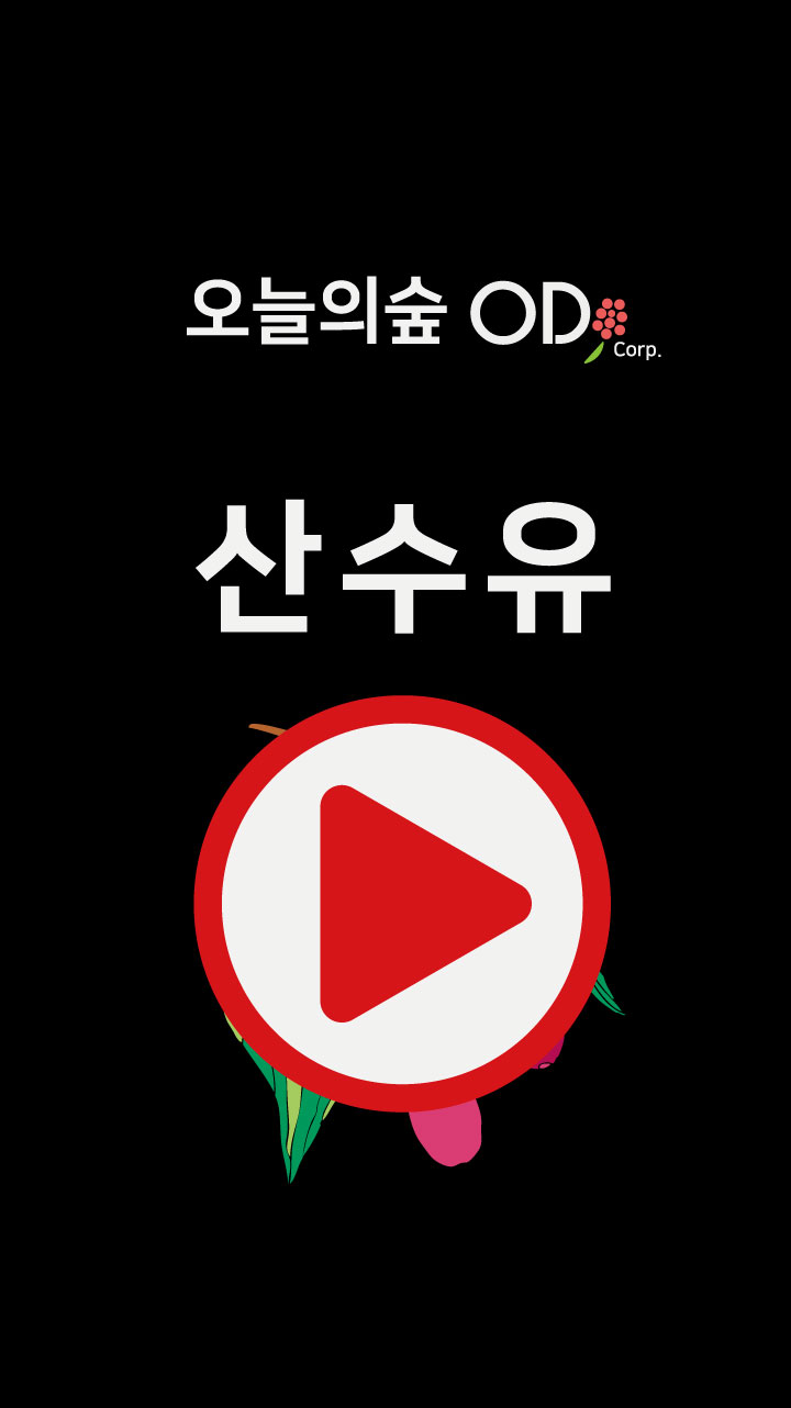 산수유